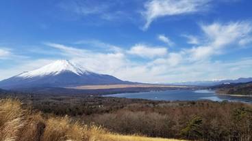 観光スポット / 11