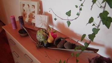 レストラン / 14