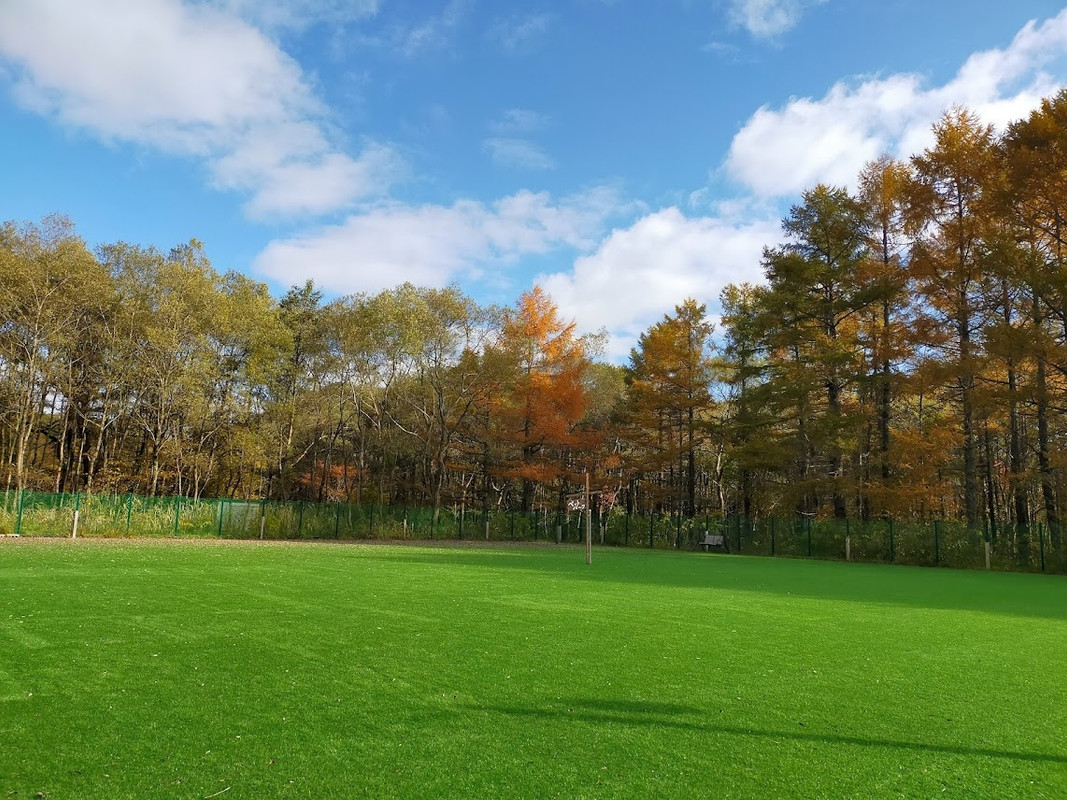 コテージエリア奥のドッグラン