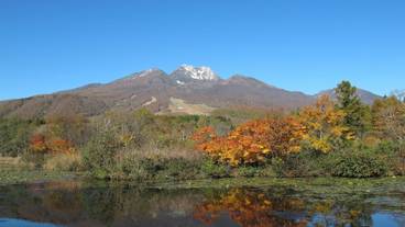 観光スポット / 39