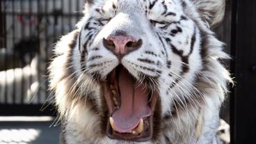 観光スポット / 9