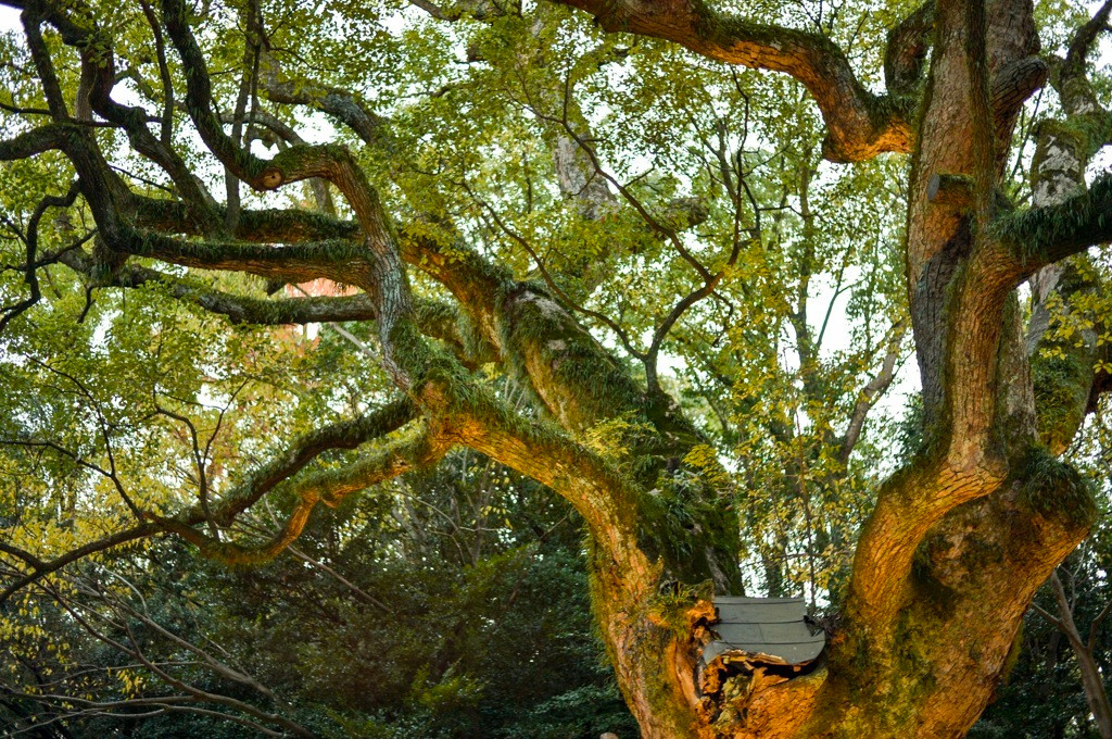 「熱田神宮」に行くならここに泊まろう4023980