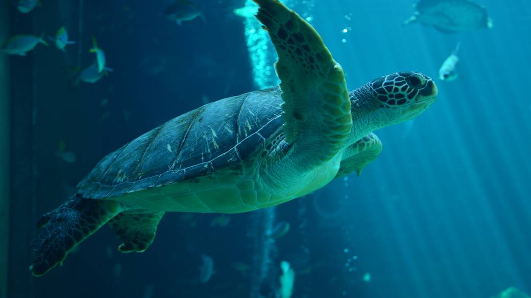 生き物と触れ合える
「箱根園」へ / 2