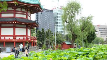 観光スポット / 11