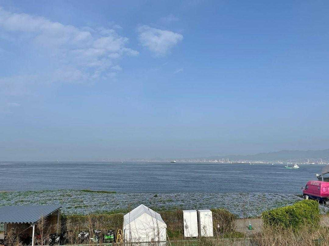 yit____103さんの写真 / 1