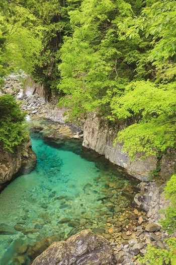 1．抜群の透明度が自慢。美顔になれるという水も湧き出る「阿寺渓谷」1839925