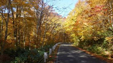 施設の敷地 / 24