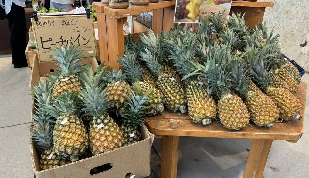 古宇利島の駅 ソラハシ② / 3