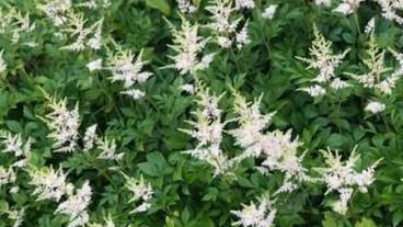 内装の詳細 / 33