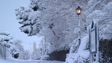 スノー スポーツとスキー / 1