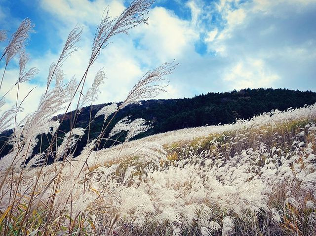 am.2.02さんの写真 / 1