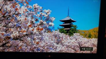 観光スポット / 24