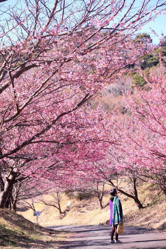 ricottacasaさんの写真 / 3