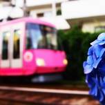 世田谷線に乗っていこう！のんびり散策で寄りたいスポット12選