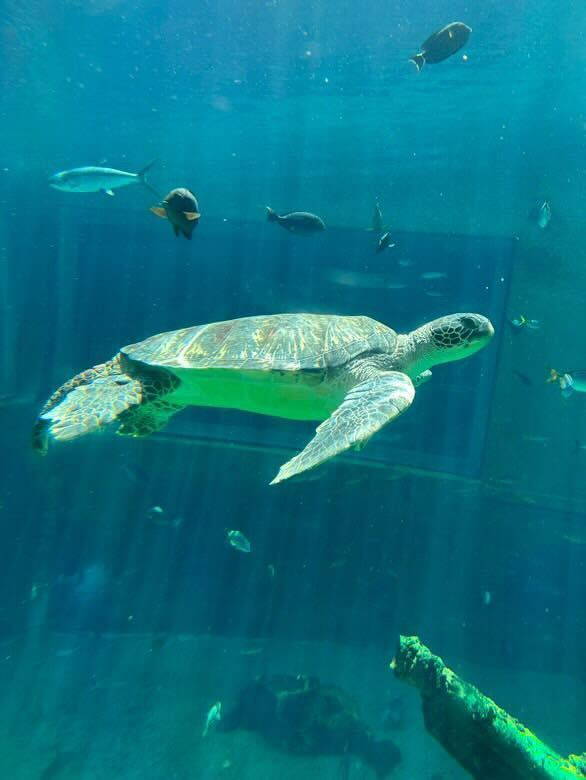 omiho_chan_さんの写真 / 5