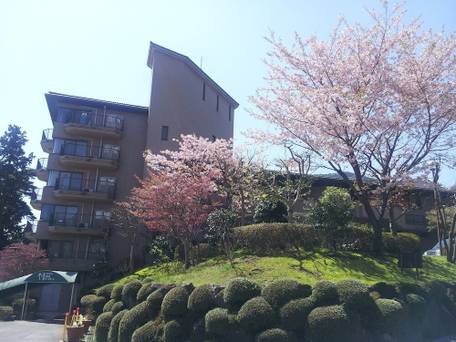 小涌谷温泉 ウィスタリアンライフクラブ ヴェルデの森 / 1