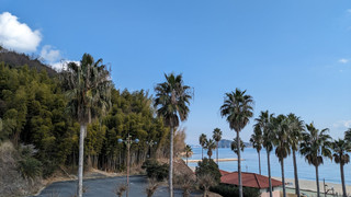 スーペリアツイン マウンテンビュー 禁煙