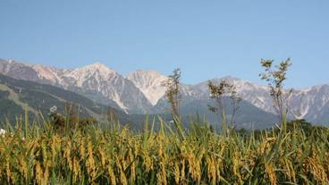 マウンテン ビュー / 17