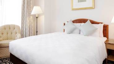 スタンダードダブル / 13