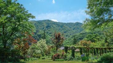 ガーデン ビュー / 22