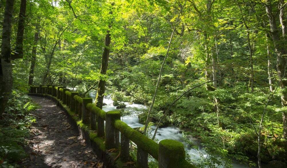 奥入瀬渓流(2) / 2