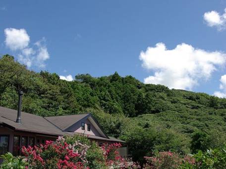 伊豆大島 ホテル＆リゾート マシオ（大島） / 3