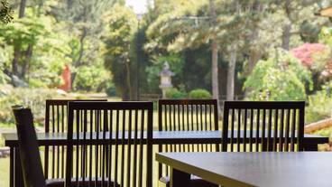 レストラン / 11