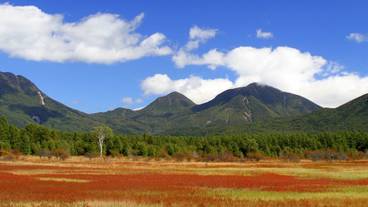 ハンティング / 1