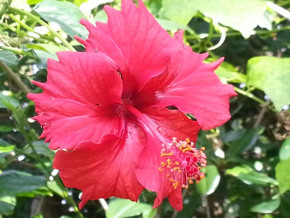 施設からの眺望