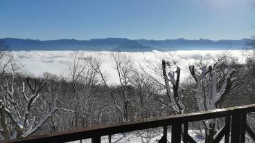 ランド ビュー / 17