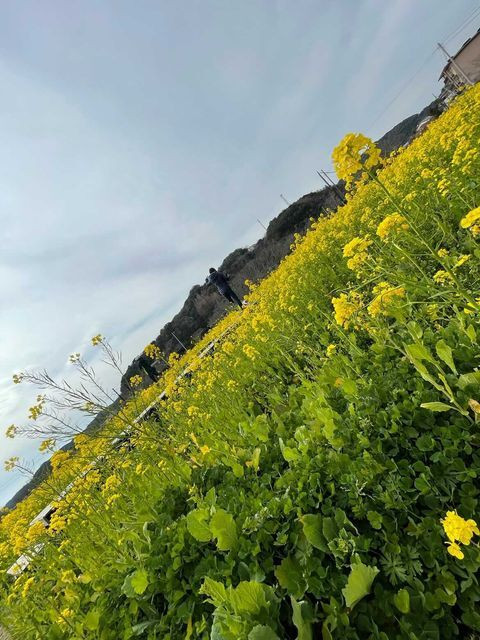 shiorichan1006さんの写真 / 2