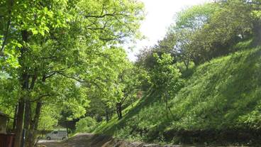 施設からの眺望 / 4