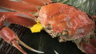 食事・飲み物 / 4