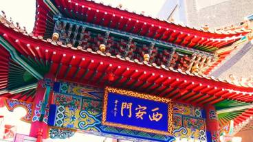 シティ ビュー / 17