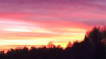 施設からの眺望 / 17