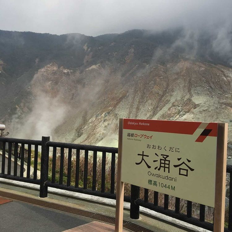 yupr1205さんの写真 / 1