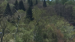 トリプルルーム マウンテンビュー