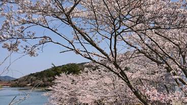 施設からの眺望 / 25