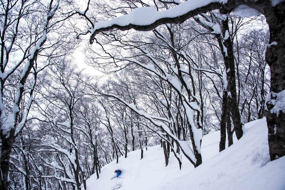 スノー スポーツとスキー