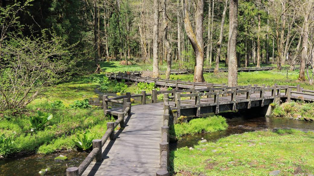 姫川源流自然探勝園 / 2
