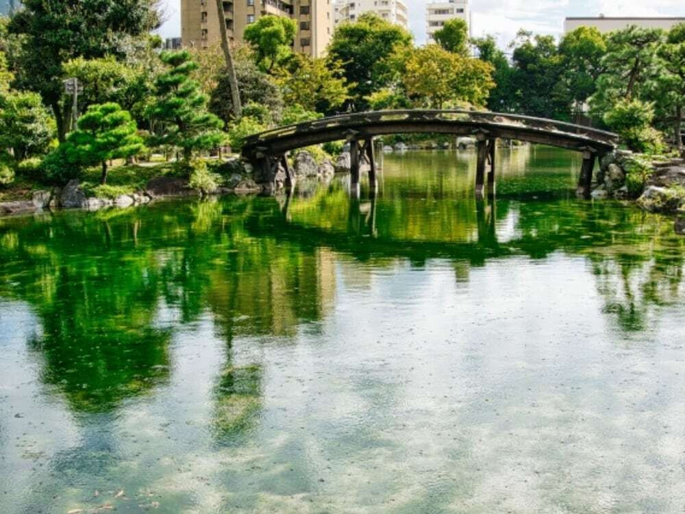 ランド ビュー