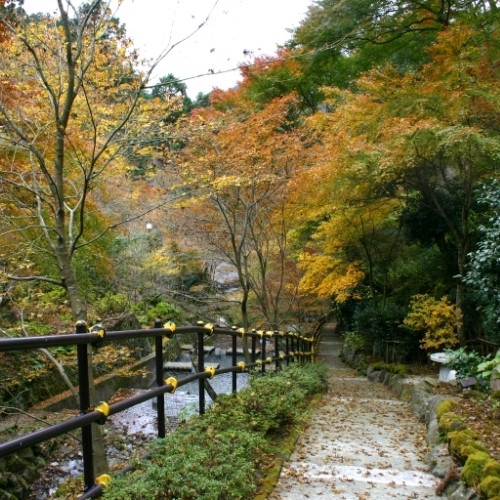 散策路(秋)
