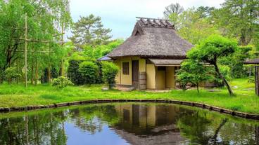 奈良国立博物館 茶室八窓庵 / 6