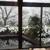 肥前 嬉野温泉 隠宿 華の雫（佐賀県 旅館） / 3