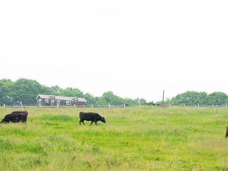 ホテル・フロラシオン那須 / 4