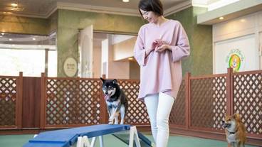 ペット用設備・サービス / 2