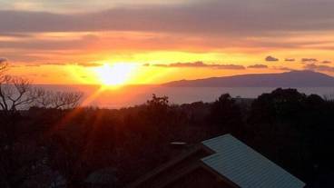 ビーチ / オーシャン ビュー / 5