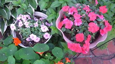 施設の敷地 / 27