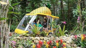 観光スポット / 2