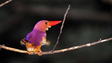 フィットネス設備 / 2